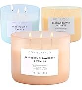 Raspberry Strawberry Vanilla, Grapefruit Vanilla, Coconut Orange Blossom 3 Wick Scented Candles B...