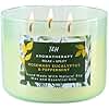 Rosemary Eucalyptus Peppermint Candle | Highly Scented Large 3 Wick Soy Candle 15.8 oz | Uplifting Eucalyptus Mint Scented Candles for Home | Aromatherapy Stress Relief Spa Candles for Men & Women