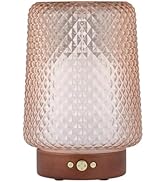 Sparoom Dahlia Textured Translucent Glass Aromatherapy Ultrasonic Misting Essential Oil Diffuser ...