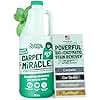 Sunny & Honey Carpet Shampoo & Cleaning Solution - 32 Fl Oz Spring Mint Scent - Pet Carpet Cleaner Machine Solution - Rug & Upholstery Cleaner - Stain Remover & Odor Deodorizer