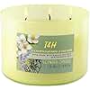 Eucalyptus Jasmine Lavender 3-Wick Soy Candle, 15.8 oz | Highly Scented Woodsy Lavender Candle | Aromatherapy Stress Relief Candles for Home | Clean-Burn | for Men & Women