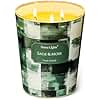 HomeLights 3-Wick Candles for Home Scented - 34oz Soy Wax Blend Candle Long-Lasting Fragrance, Scandinavian Minimalist Design Home Decor and Housewarming Gifts, Sage & Moss