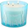 Vanilla Pine Apple Orchard 3-Wick Soy Scented Candle, 14.5 oz | Long Lasting Clean Burn | Christmas Pine Candle | Holiday Gift | Aromatherapy Candle