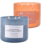 Eucalyptus Evergreen Forest and Cinnamon Clove Citrus 3 Wick Scented Candles Bundle | Aromatherap...
