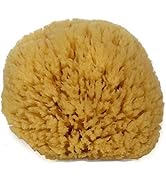 Natural Sea Sponge 6-7