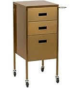 Buy-Rite Electra Metallic Styling Trolley, Portable Metal Styling Station for Salons, 3 Large Uti...