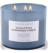 Eucalyptus Evergreen Forest Luxury 3 Wick Winter Pine Candle | Mens Candles, Scented Candles for ...