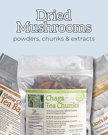 Dried Mushrooms