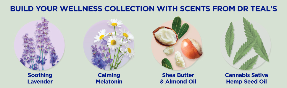ingredients for other Dr. Teals products