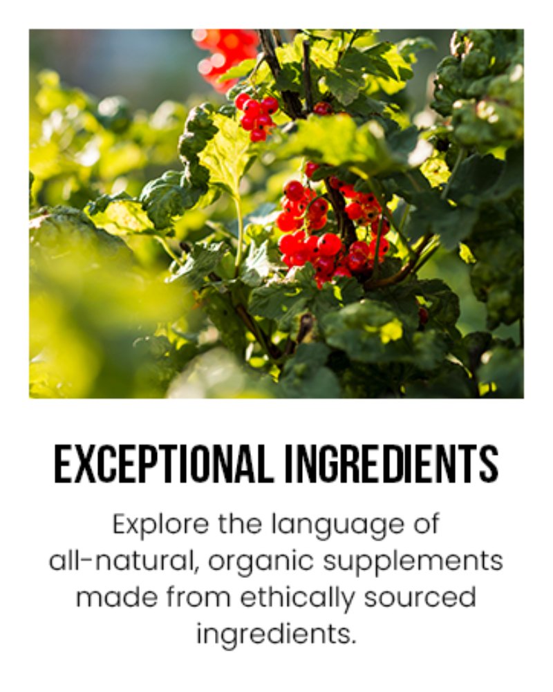 Ancient Bliss Exceptional Ingredients