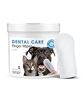 dental care wipes