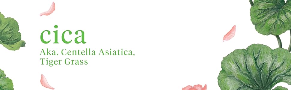 cica