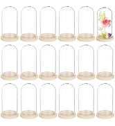 BENECREAT 30PCS Glass Display Dome, 1.2x2.4inch Bell Jar Display Case, Decorative Glass Dome with...