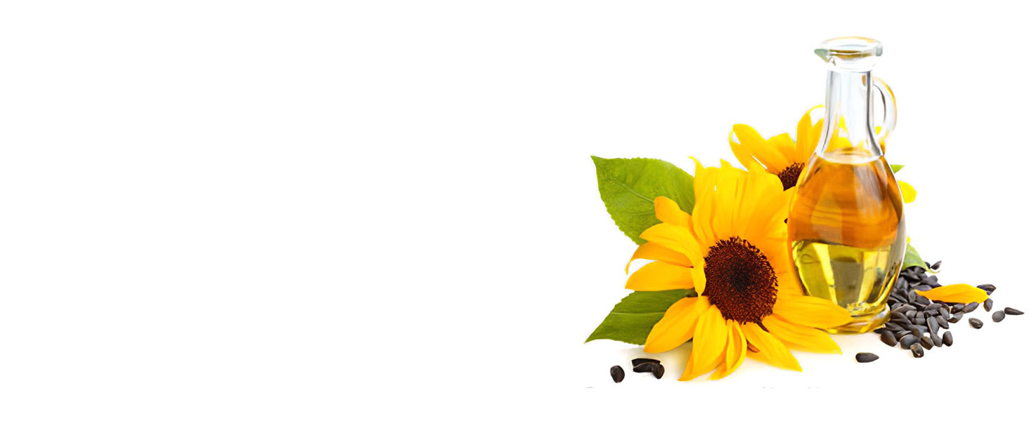 Turmeric Blooming Oil