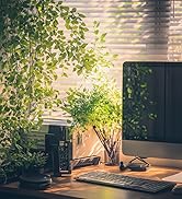 aroma diffuser for office