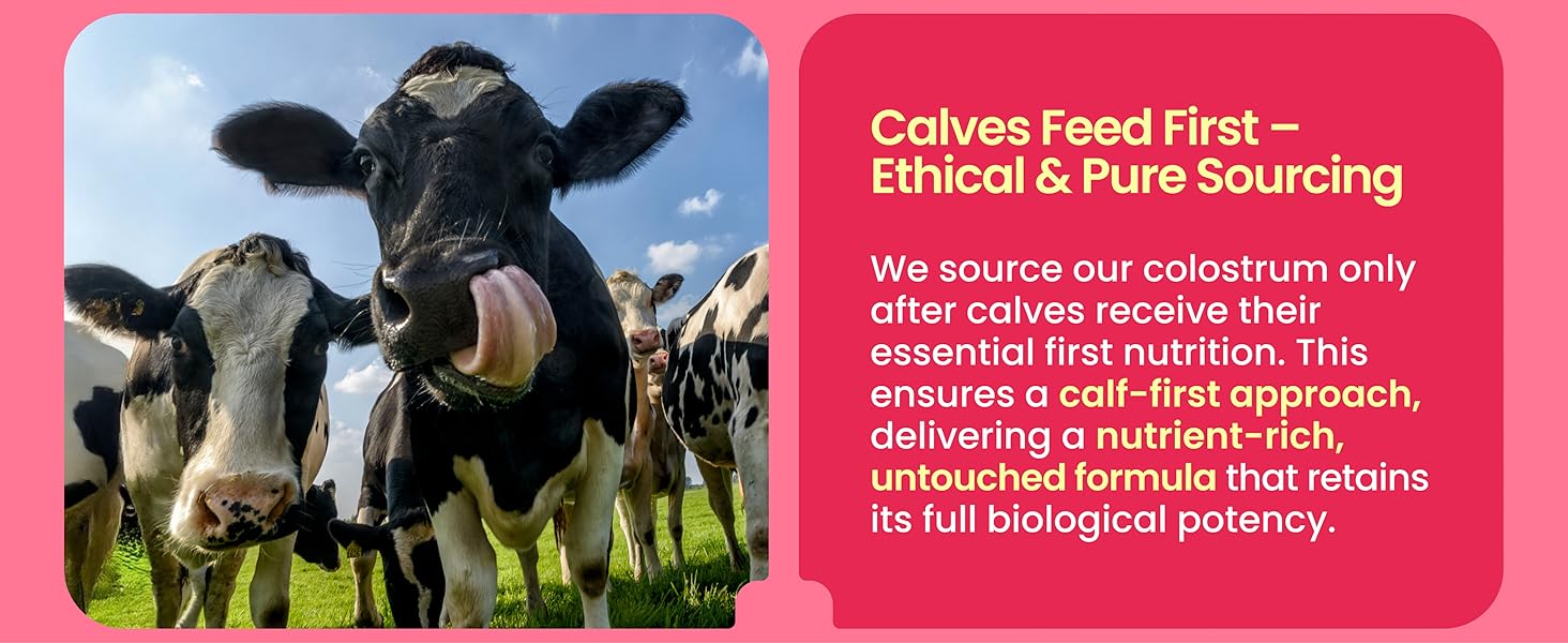 Calves feed first Ethical  Pure Sourcing Nutrient-rich, its full biological potency, first nutrition