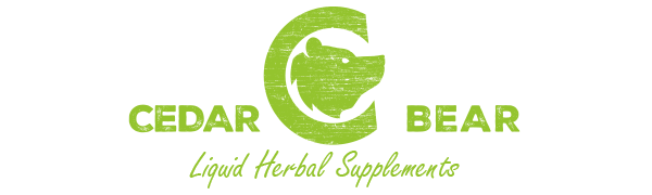 Cedar Bear