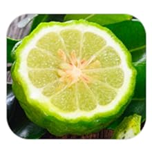 Ingredient 1