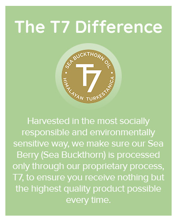 SIBU T7 Difference