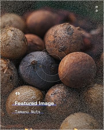 ETHERVA | Unrefined Seed Oils & Fats