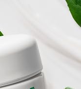 Innisfree Brand Story Tile Green Tea Cream