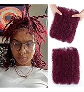 10 Inch Afro Kinkys Bulk Human Hair for Repair Locs,100% Real Human Hair for Mini Twist Burgundy ...