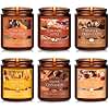 Fall Candles Set, 6 Pack Candles for Home Scented Natural Soy Wax, Autumn Gifts Set for Women Men, Fall Fragrance of Pumpkin/Cinnamon/Vanilla Cupcake/Apple/Harvest/Latte
