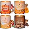 36oz Fall Winter Scented Candle Set, 4Pack Aromatherapy Soy Wax Candles House Warming Christmas Gifts, Halloween Chirstmas Holiday Candles for Women Men 9oz Apple/Wreath/Cinnamon/Pumpkin Candle