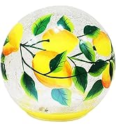 A Cheerful Giver Globe Lamp with Internal LED String Lights - Crackle Glass Decoration for Indoor...
