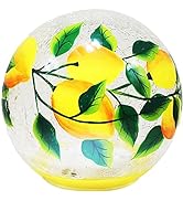 A Cheerful Giver Globe Lamp with Internal LED String Lights - Crackle Glass Decoration for Indoor...