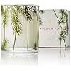 Thymes Frasier Fir Pine Needle Candle – Holiday Candles for Home Scented with Notes of Crisp Siberian Fir, Cedarwood & Sandalwood – Christmas Decor – Christmas Gifts for Women & Men (6.5 oz)