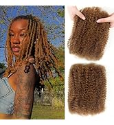 Carlence 14 Inch Afro Kinky-Curly Human Hair Bulk for Twist Honey Brown Human Kinkyhair for Mini ...