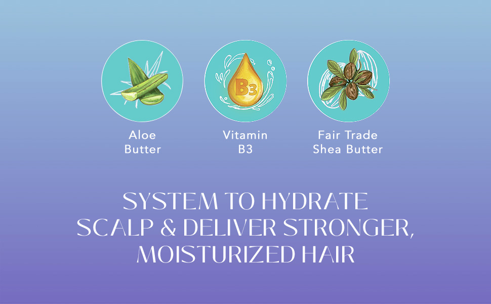 Moisturized Hair