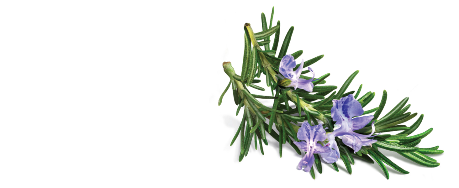 Jamaican Amber Castor oil