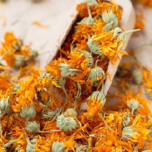 Calendula