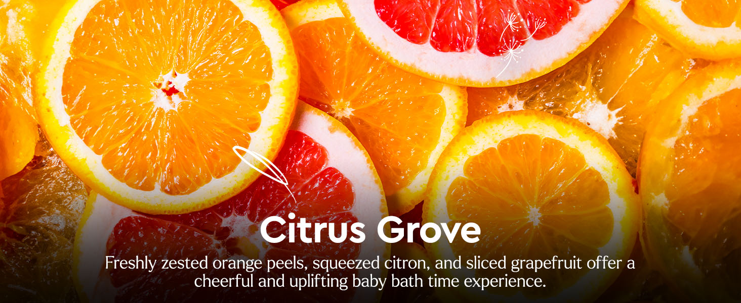 Lifestyle image of ingredients, highlighting the scents