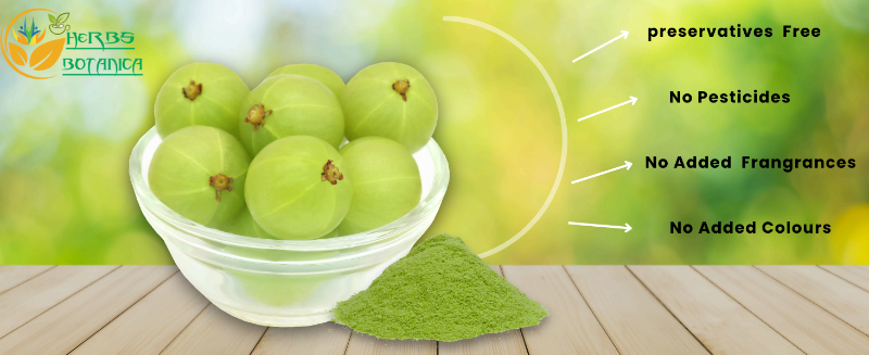 Amla Powder