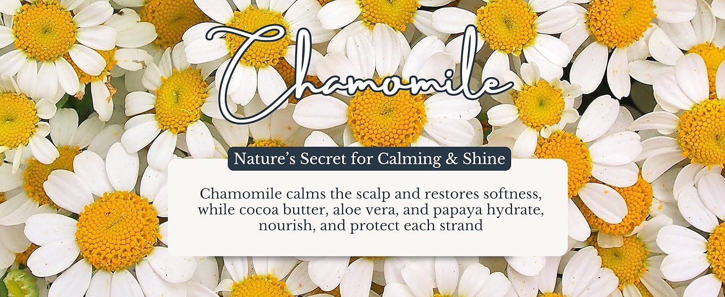 Chamomile Conditioner Banner 18