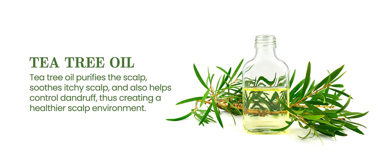  Rosemary Conditioner