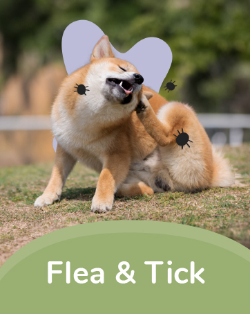 kin+kind Flea & Tick