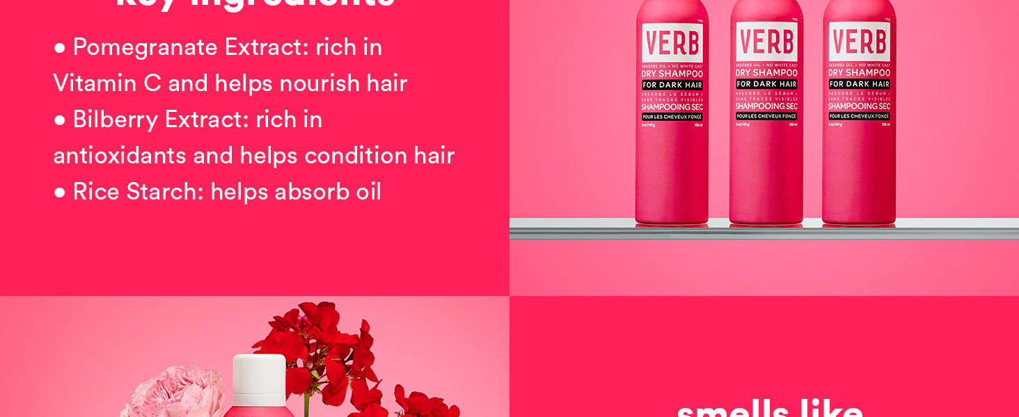dry shampoo dark key ingredients