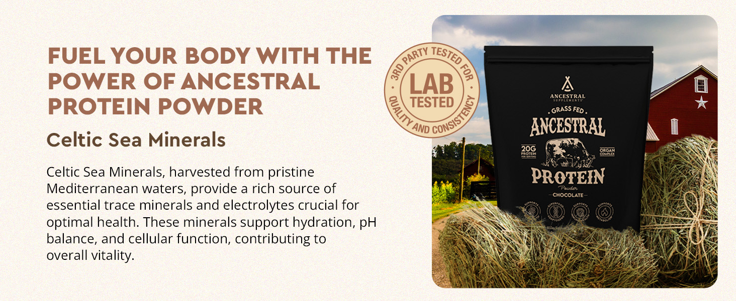 rganic, natural, grass-fed beef & bone broth protein powder, no sugar, reishi, lions mane, chaga