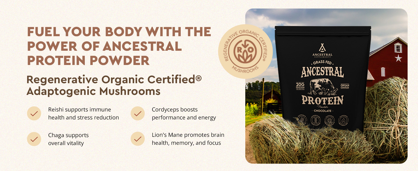 rganic, natural, grass-fed beef & bone broth protein powder, no sugar, reishi, lions mane, chaga