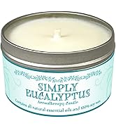 Our Own Candle Company Soy Wax Aromatherapy Candle, Simply Eucalyptus, 6.5 Ounce