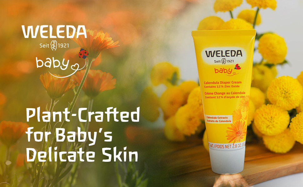 calendula
