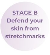 stage b