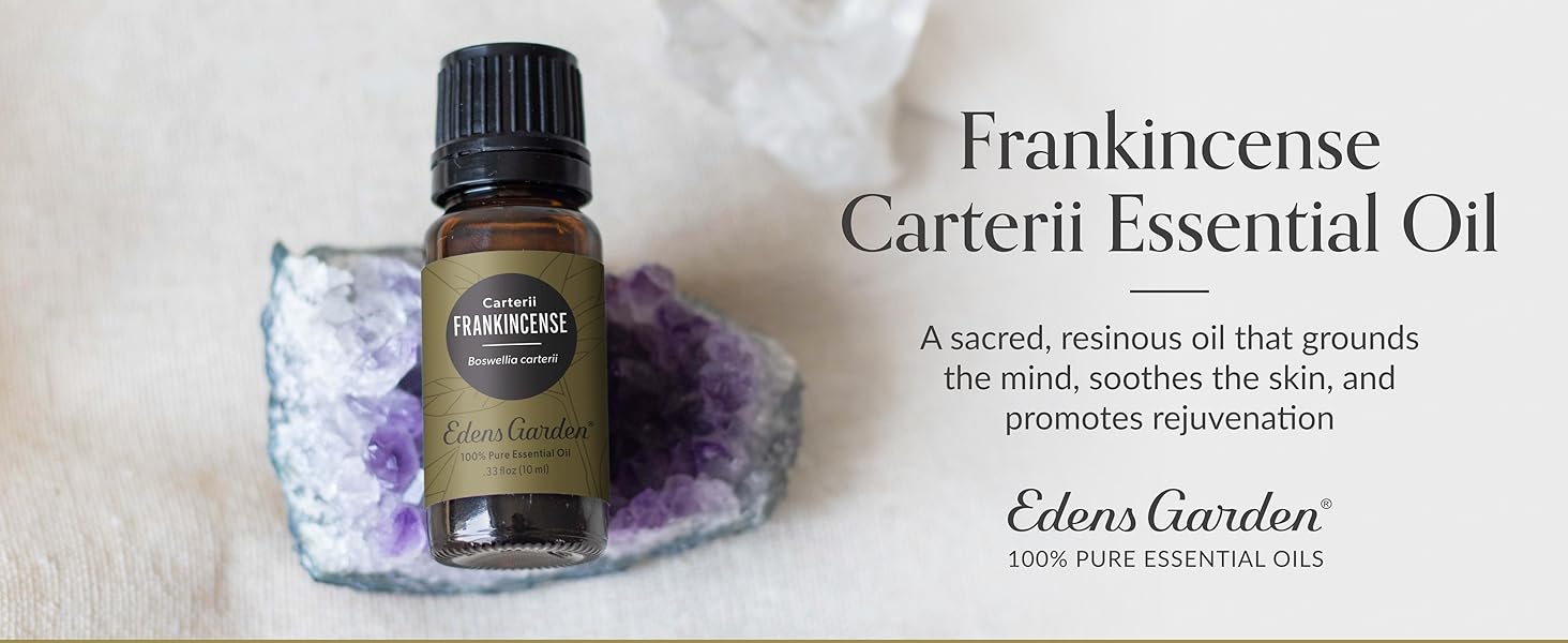 frankincense carterii oil, skin soothing oil, grounding essential oil, boswellia for rejuvenation