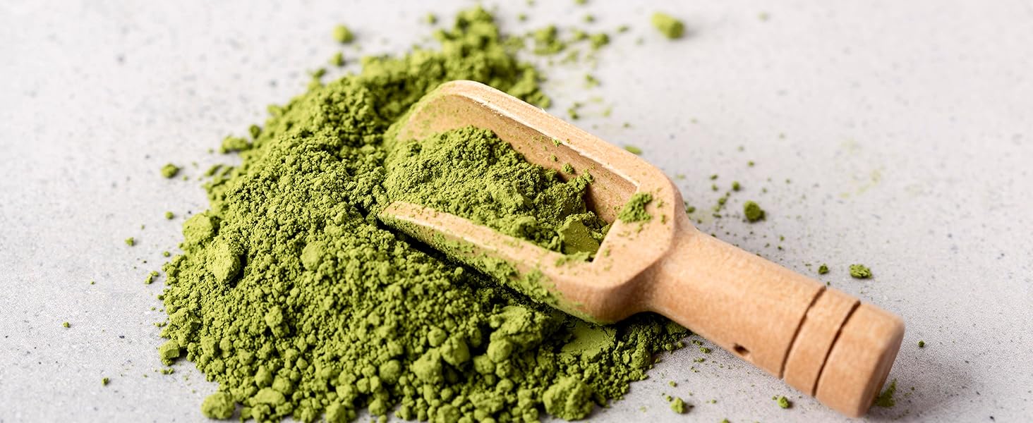 Moringa Powder