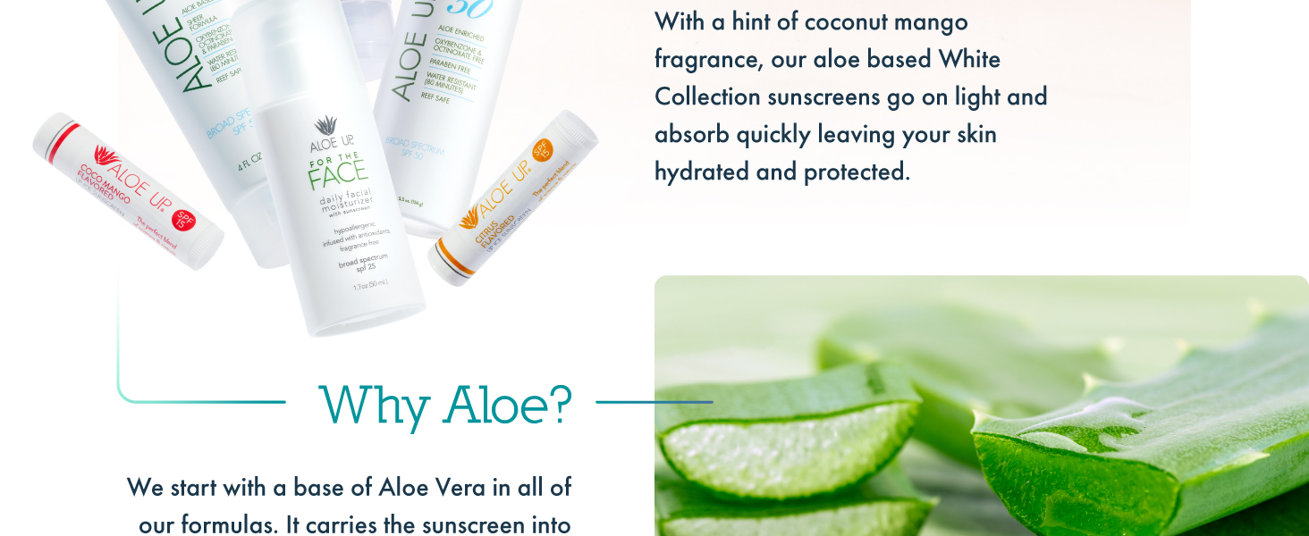 Why Aloe?
