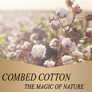baby cotton socks